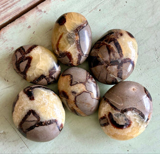 Septarian Dragon's Egg Palm Stone