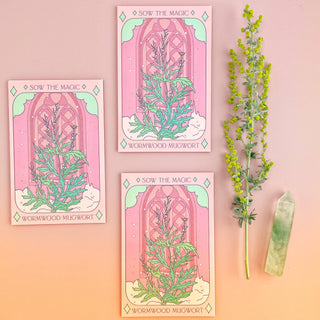 Mugwort Wormwood - Tarot Garden Seeds