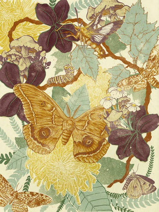 Moth Giclee Print (11x14)