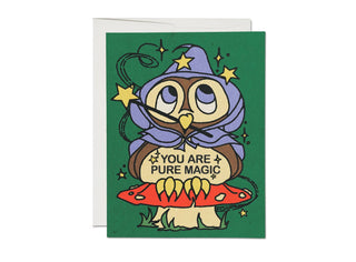 Owl Wizard friendship greeting card
