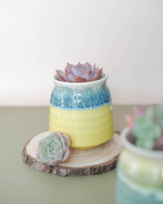 Glazed Floral Pot