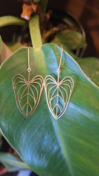 Pothos Leaf Outline Brass Earrings