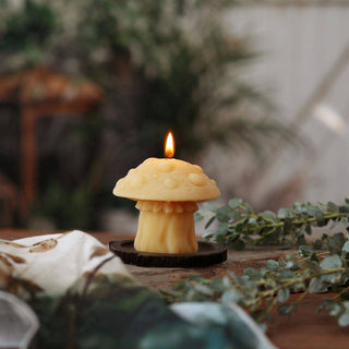 Mushroom Candles – 100% Pure Beeswax – 3 Styles: Oyster Mushroom