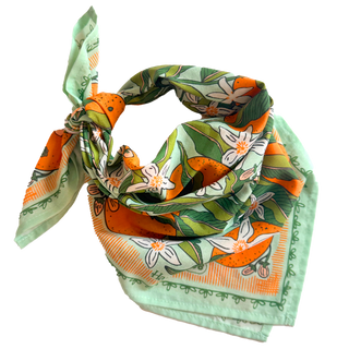 Zoe Bandana No. 146