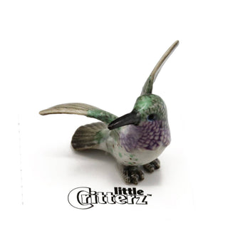 Sheartail The Lucifer Hummingbird - Porcelain Miniature