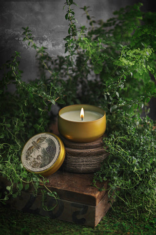 Forest Moss | 8oz Candle