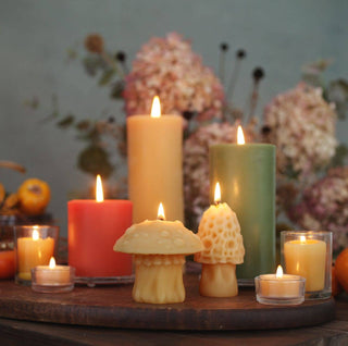Mushroom Candles – 100% Pure Beeswax – 3 Styles: Oyster Mushroom