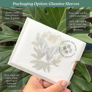 Zebra Swallowtail Butterfly & Pawpaw Plantable Herb Card: Glassine Sleeves