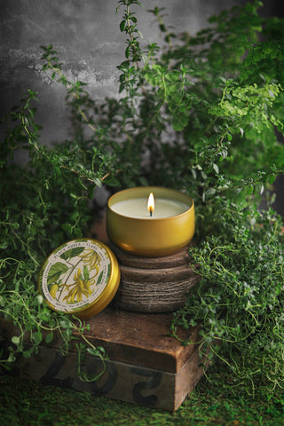 Black Amber + Ylang | 8oz Candle