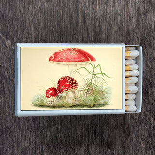Mushroom Toadstool Matchbox