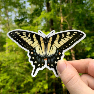 Eastern Tiger Swallowtail Butterfly Sticker