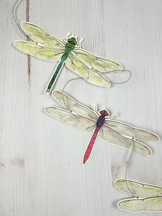 Dragonfly Illustrated Garland