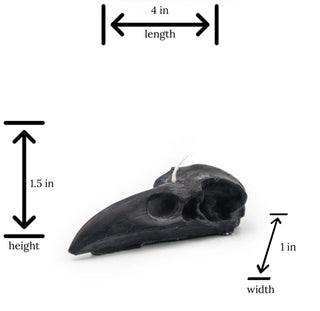 Raven Skull Pillar Candle