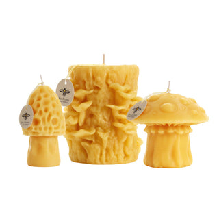 Mushroom Candles – 100% Pure Beeswax – 3 Styles: Oyster Mushroom