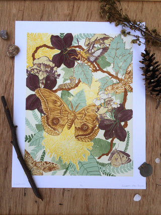 Moth Giclee Print (11x14)