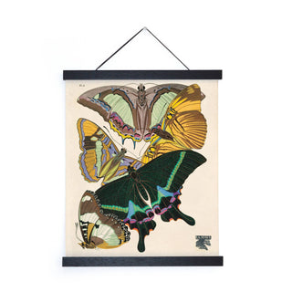 Vintage Seguy Butterfly 8 Print