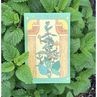 Lemon Balm Tarot Garden + Gift Seed Packet
