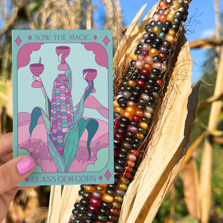 Glass Gem Corn Tarot Seed Packet