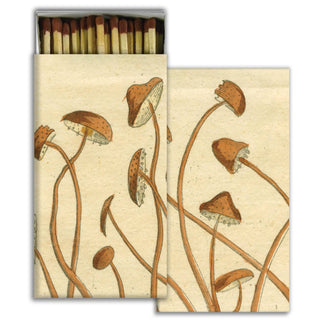 Match - Crossing Mushrooms