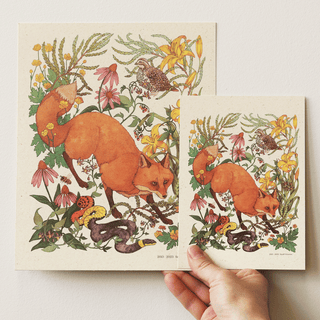 Woodland Meadow Red Fox Print (8x10)
