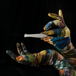 Sardine Fish Hair Clip Set