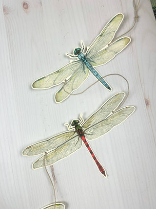 Dragonfly Illustrated Garland