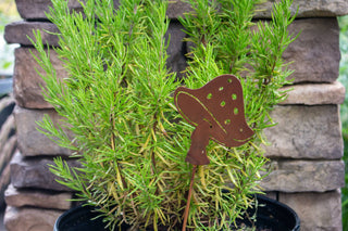 Fly Agaric Mushroom Pick - Metal Silhouette Garden Yard Home