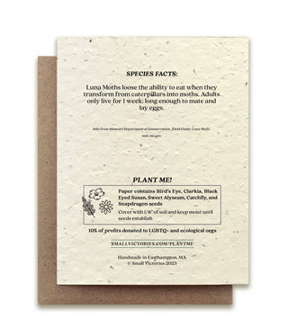 Luna Moth Plantable Wildflower Seed Card: Glassine Sleeves