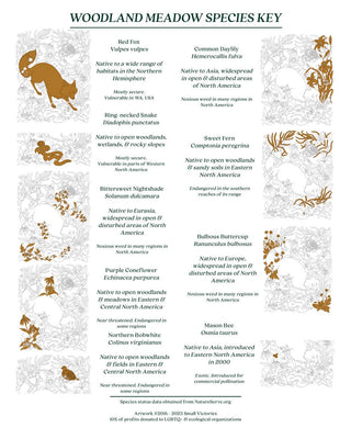 Woodland Meadow Red Fox Print (8x10)