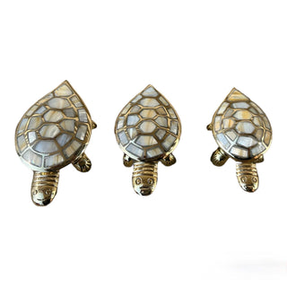 Turtle Box - Medium