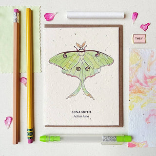 Luna Moth Plantable Wildflower Seed Card: Glassine Sleeves