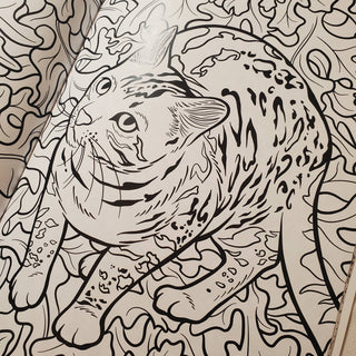 Cats & Plants Coloring Book