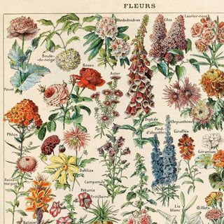 Vintage Botanical Fleurs Flower Print