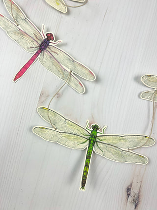 Dragonfly Illustrated Garland