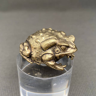 Brass Toad Desktop Figurine