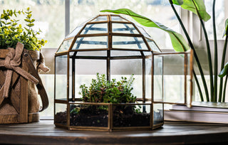 Bronze Birdcage Glass Terrarium