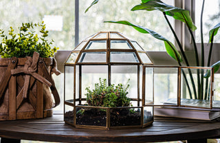 Bronze Birdcage Glass Terrarium