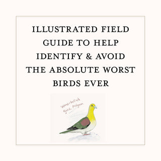 Dumb Birds Field Guide to the Worst Birds Ever