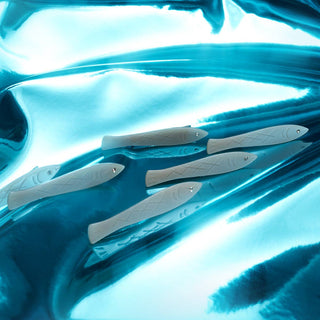 Sardine Fish Hair Clip Set