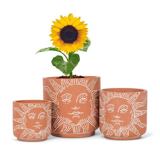 Sun Face Planter (Large)