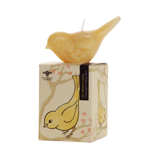 Song Bird Candles – 100% Pure Beeswax – Hand-Crafted: Pecking