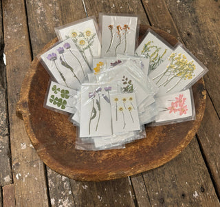 Pressed Botanicals