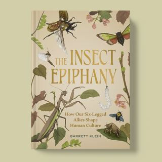 The Insect Epiphany: How Insects Shape Human Culture