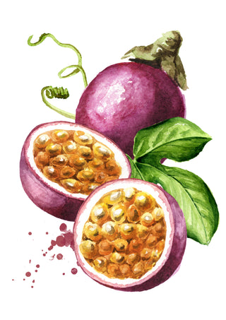 Orchard Buds Jar- Prickly Pear, Plum, Passion Fruit, and Apple 7.3 OZ