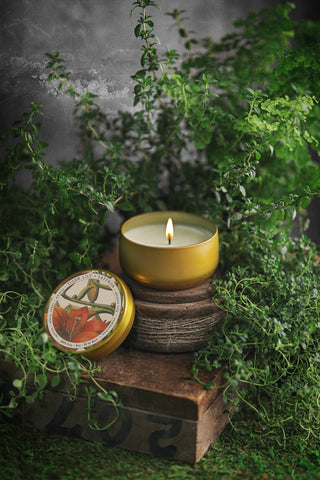 Tiger Lily + Saffron | 8oz Candle