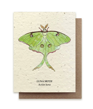 Luna Moth Plantable Wildflower Seed Card: Glassine Sleeves