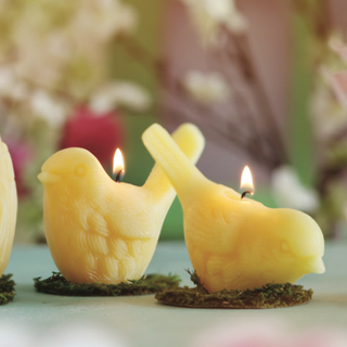 Song Bird Candles – 100% Pure Beeswax – Hand-Crafted: Pecking