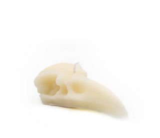 Raven Skull Pillar Candle