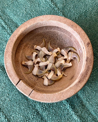Bobcat Claw