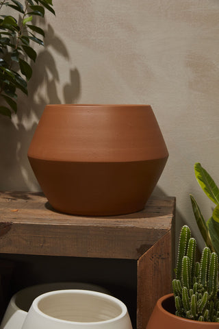 Hydra Pot